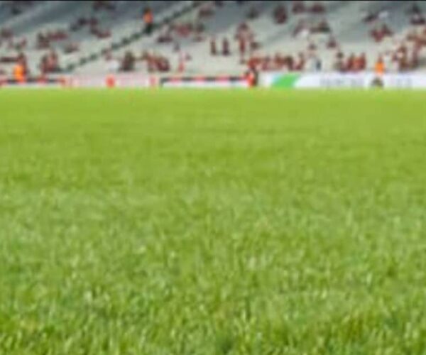 WEEK-END FOOT/PERFORMANCES AFRICAINES : REGARD RÉTROSPECTIF…