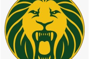 CAF- 35È ÉDITION CAN MASCULINE 2025/ÉQUIPE DU CAMEROUN : INDICES INDISPENSABLES…